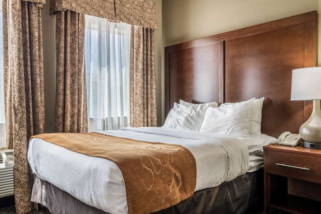 Comfort Suites Near Texas State University - photo 23