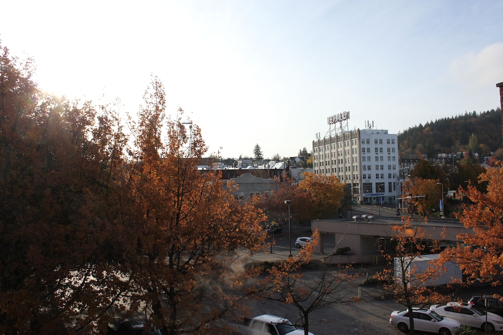 Hotel Leo - photo 57