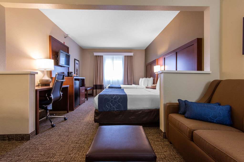 Comfort Suites Rochester Henrietta University Area - photo 13