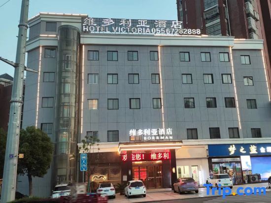 Victoria Hotel — hotel in Leiyang