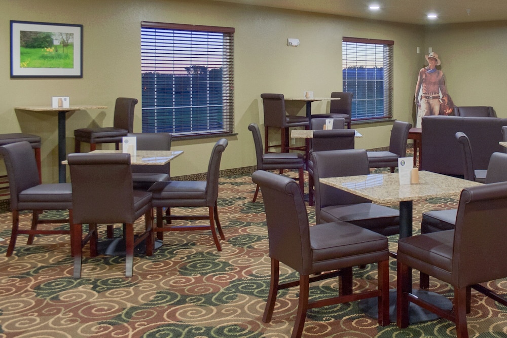 Cobblestone Inn & Suites Winterset IA - photo 60