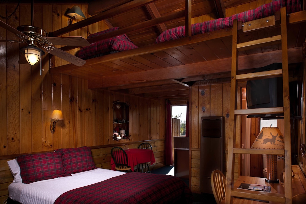 Idyllwild Bunkhouse - photo 3