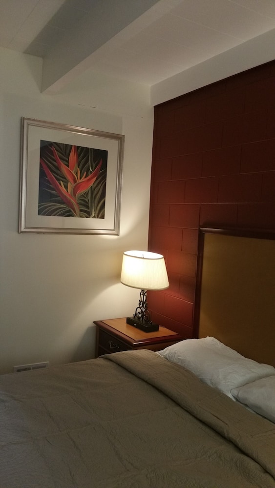 Thunder Bird Motel - photo 3