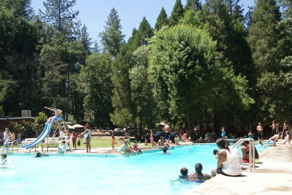 Pine Grove - photo 15