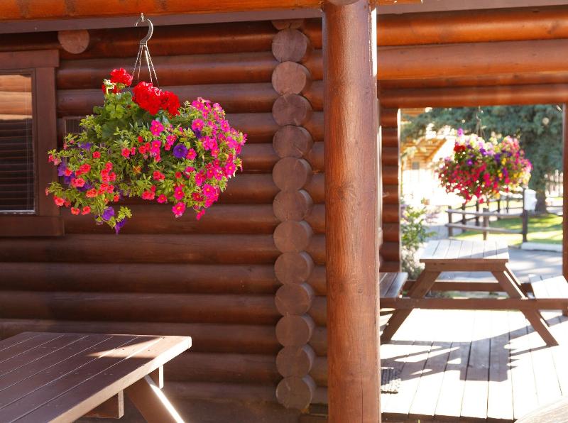 Elk Country Inn - photo 83
