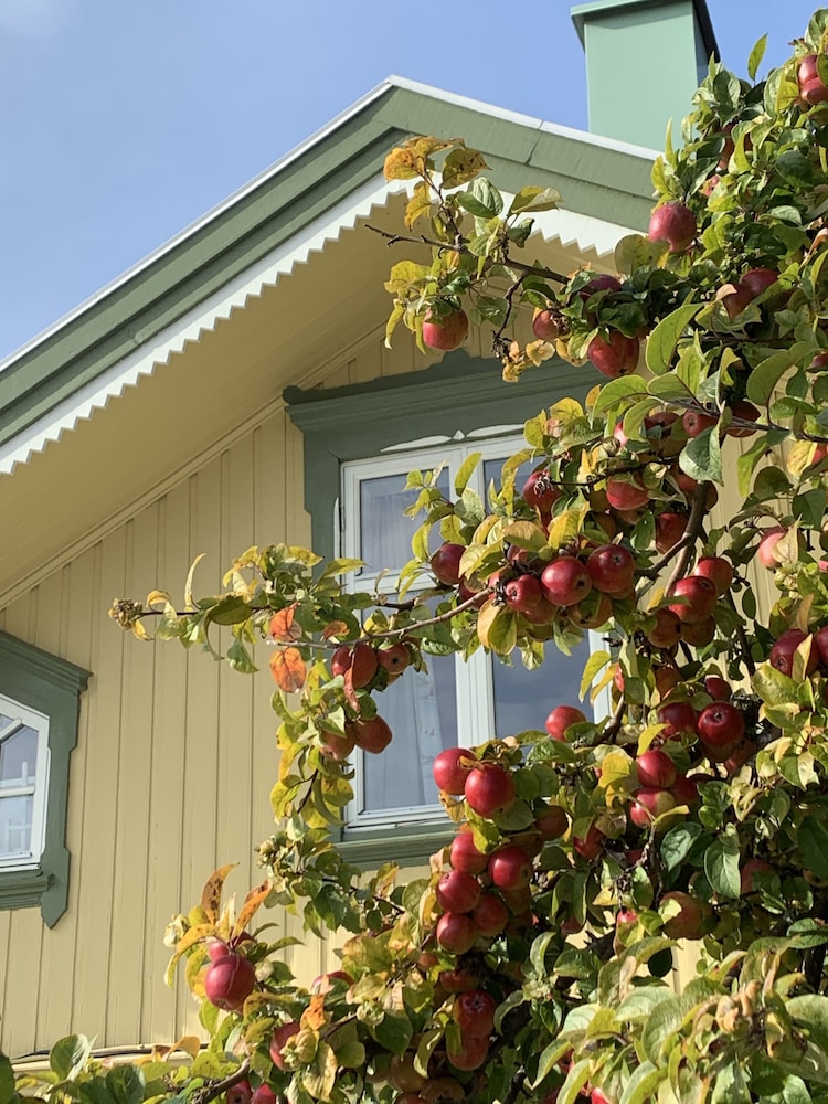 Hem Till Bengt — hotel in Kungshamn