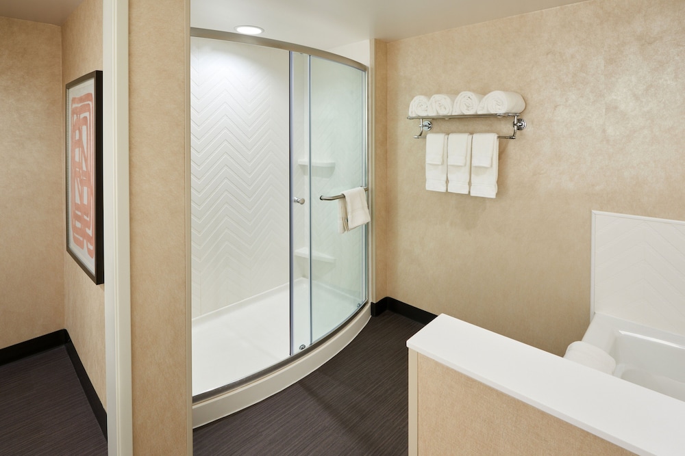 Holiday Inn and Suites Philadelphia W Drexel Hill - photo 46
