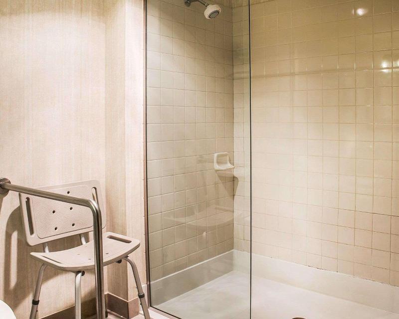 Comfort Inn Manistique MI - photo 29
