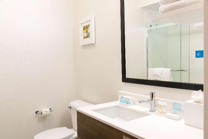 Hampton Inn & Suites East Lansing Okemos - photo 33