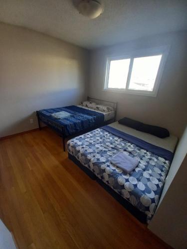 Stay At Flat Cad 39 Next To Airport Transit Park in Kitchener, Canada