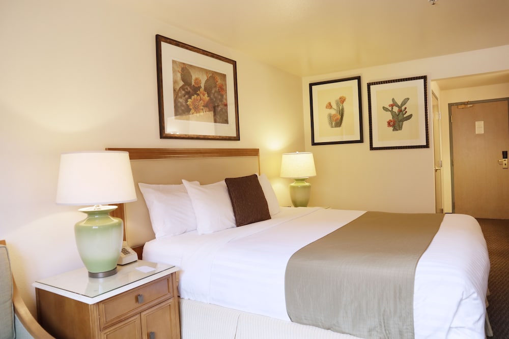 Cities Of Gold Casino - photo 4