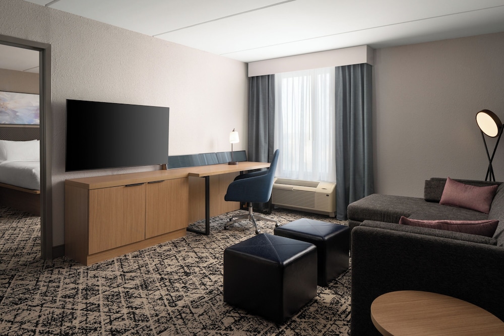 Hilton Garden Inn Washington DC Greenbelt - photo 14