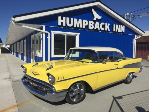 Humpback Inn - carbon neutral hotel in Unknown City