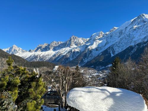 Logement Avec Jardin Et Vue Panoramique Montblanc in Les Houches, France