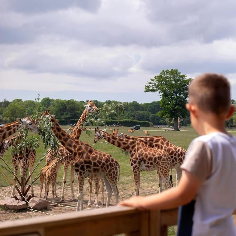 Knuthenborg Safaripark in Maribo, Denmark