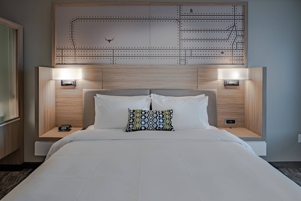 SpringHill Suites by Marriott Fort Worth Historic Stockyards - photo 14
