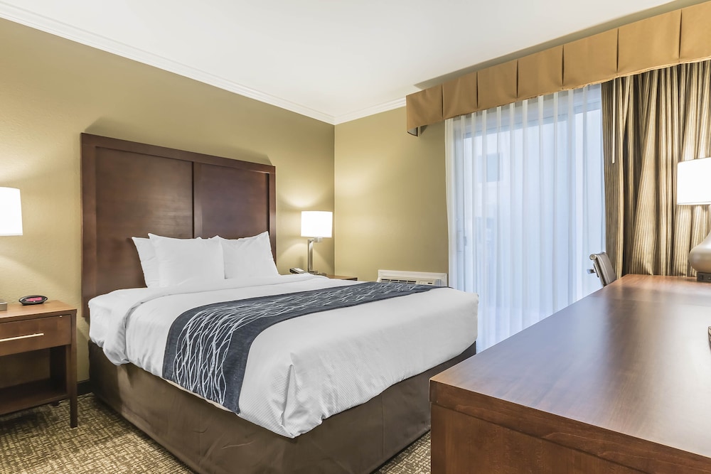 Comfort Inn Sunnyvale Silicon Valley - photo 6