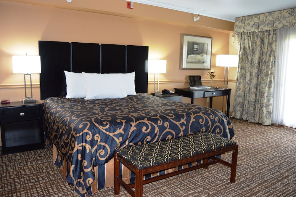 New World Inn - photo 7