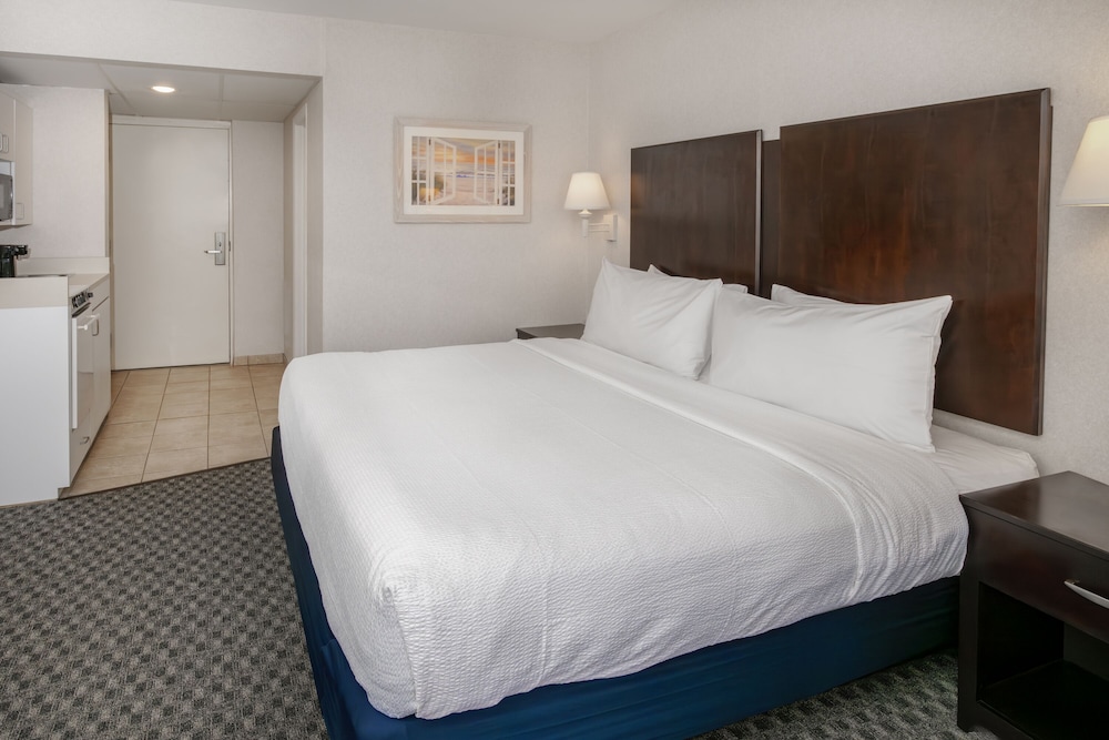 The Bay Resort - photo 6