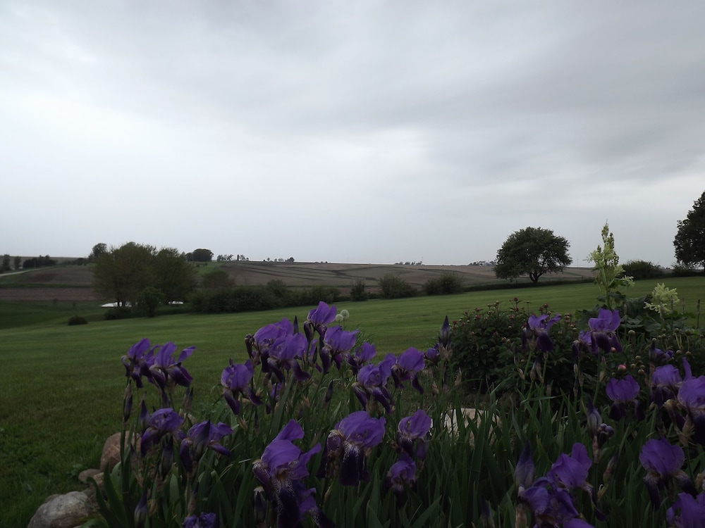 Crest Country Inn - photo 175