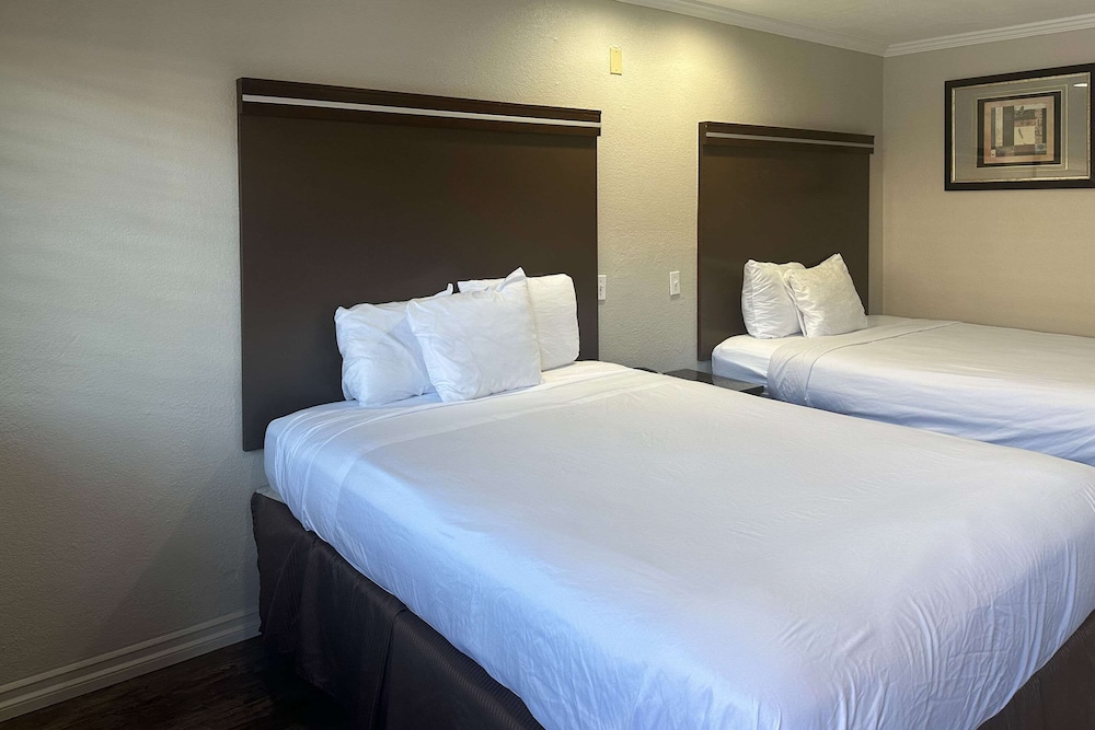 Rodeway Inn National City San Diego South - photo 13