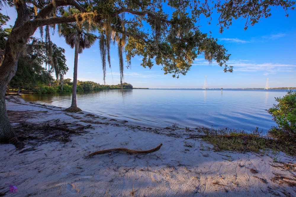 Holiday Inn Express Hotel & Suites Tampa Northwest Oldsmar by IHG - photo 80