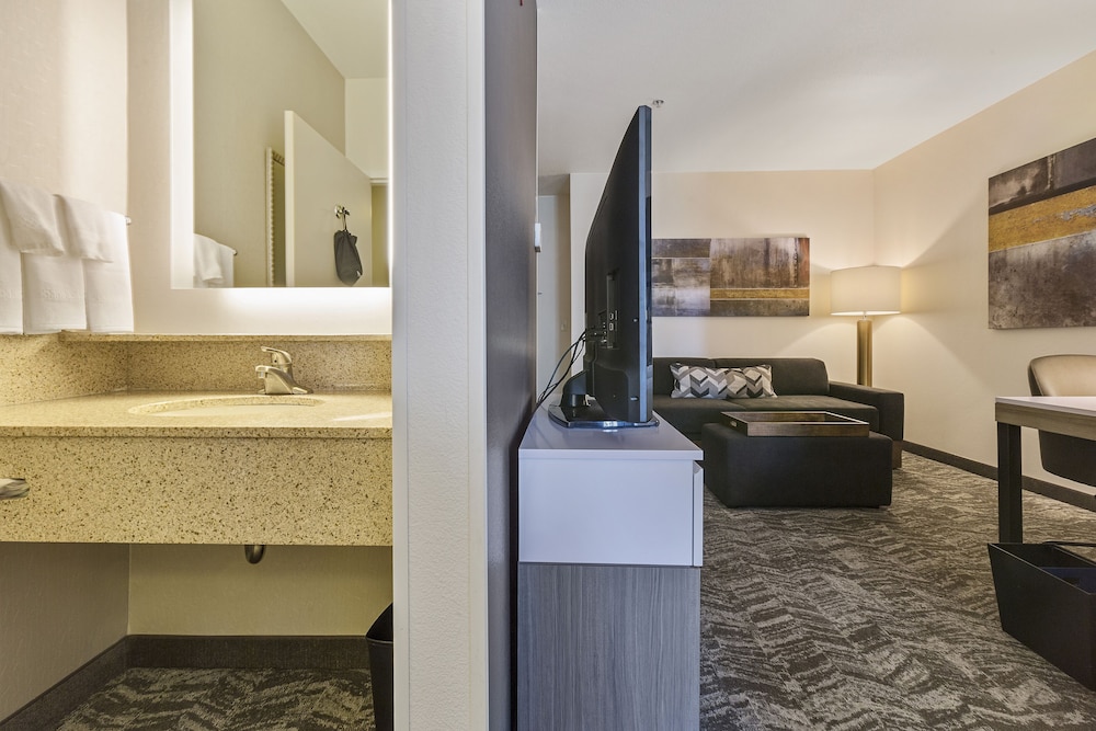 SpringHill Suites by Marriott Sacramento Natomas - photo 15
