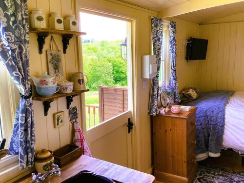 Lilly’s Pad — Bude — photo 2