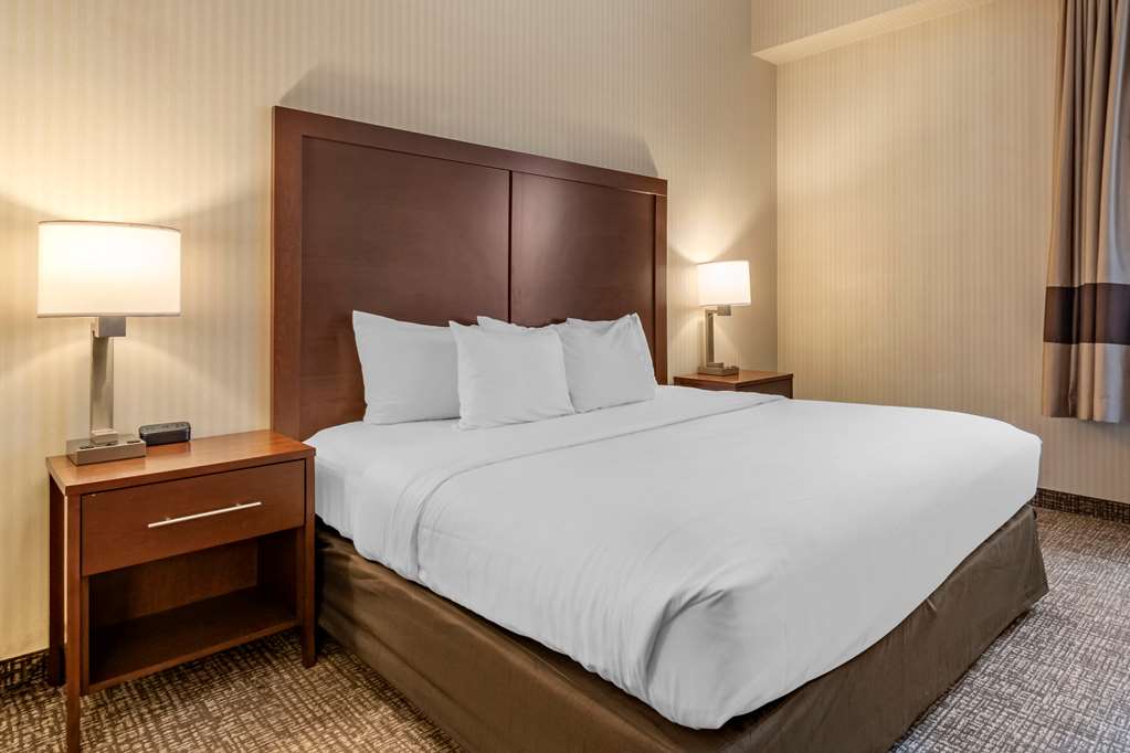 Comfort Suites Downtown Carlisle - photo 8