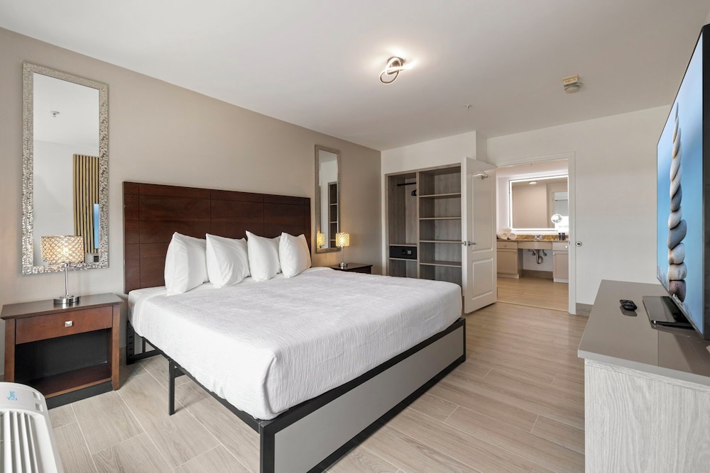 Homewood Suites Houston Northwest CY FAIR - photo 19