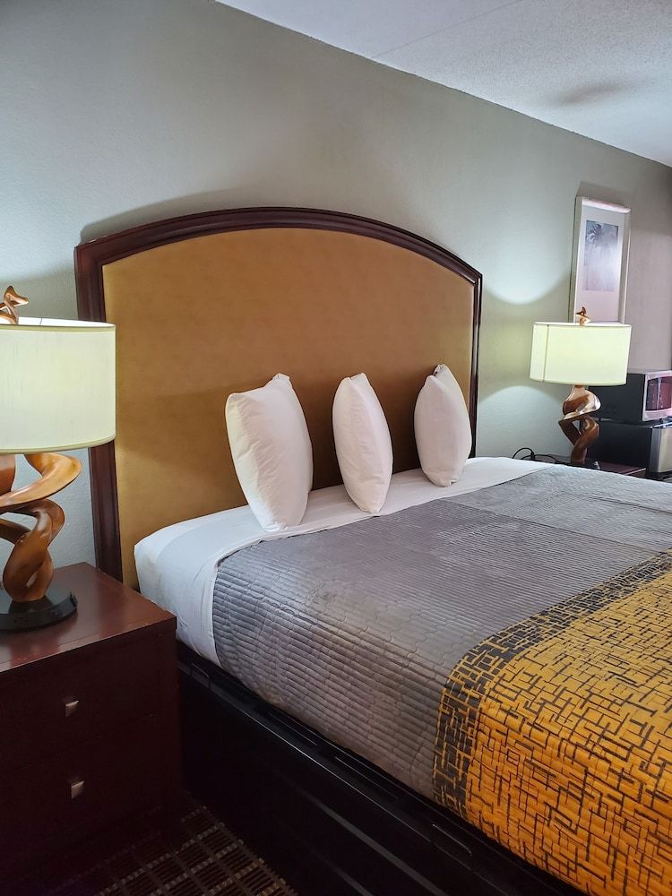 Palmetto Inn & Suites - photo 6
