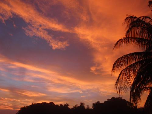 Pachamama Tropical Garden Lodge