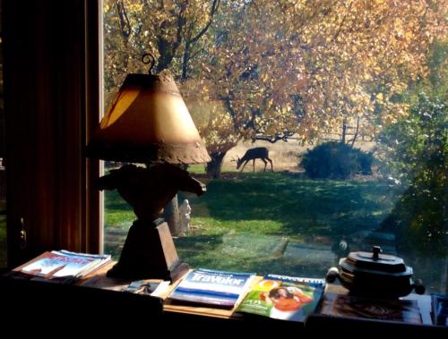 Sundance Suite Prairie Rose B&B - photo 35