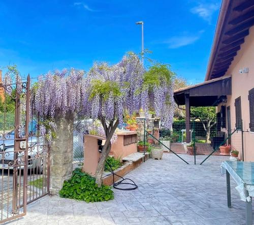 Yijing Hotel - carbon neutral hotel in Ningde