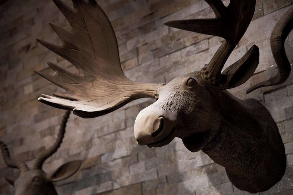 Charleston Kiawah Island Andell Inn - photo 4