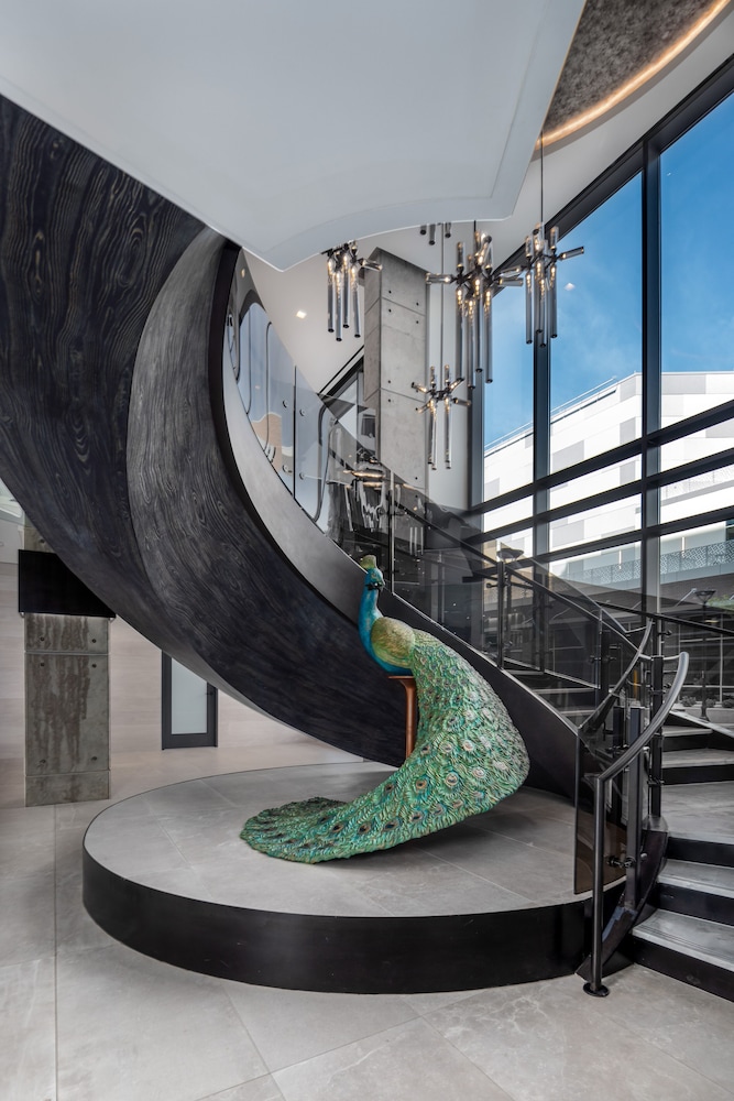 Hyatt Centric SouthPark Charlotte - photo 8