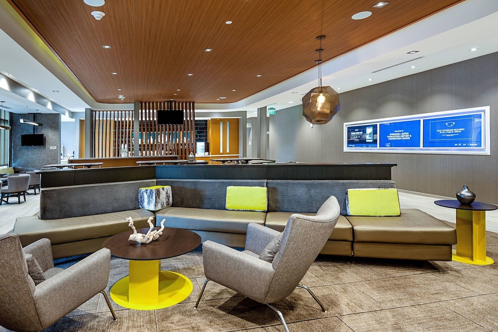 SpringHill Suites by Marriott Charleston Airport & Convention Center - photo 6