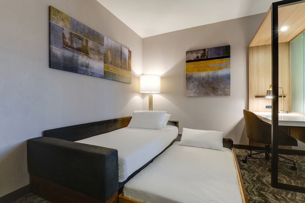SpringHill Suites by Marriott Cheraw - photo 15