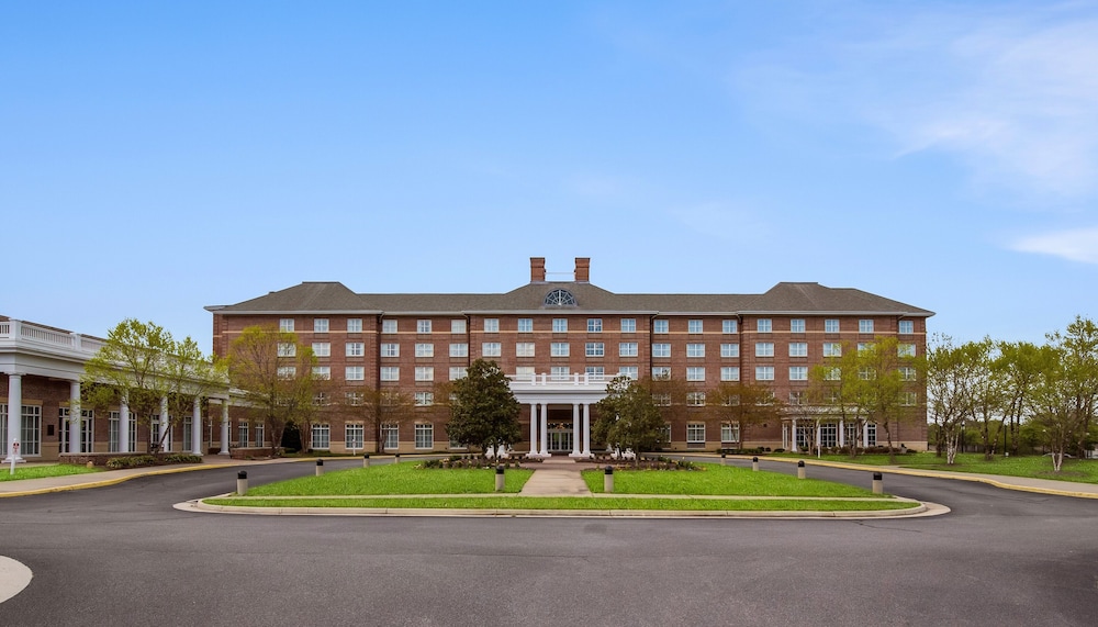 Hilton Garden Inn Suffolk Riverfront - photo 67