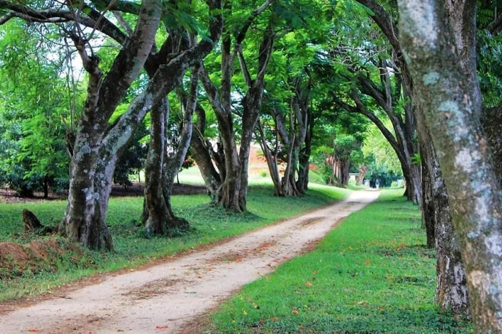 Idle & Wild in Nelspruit, South Africa