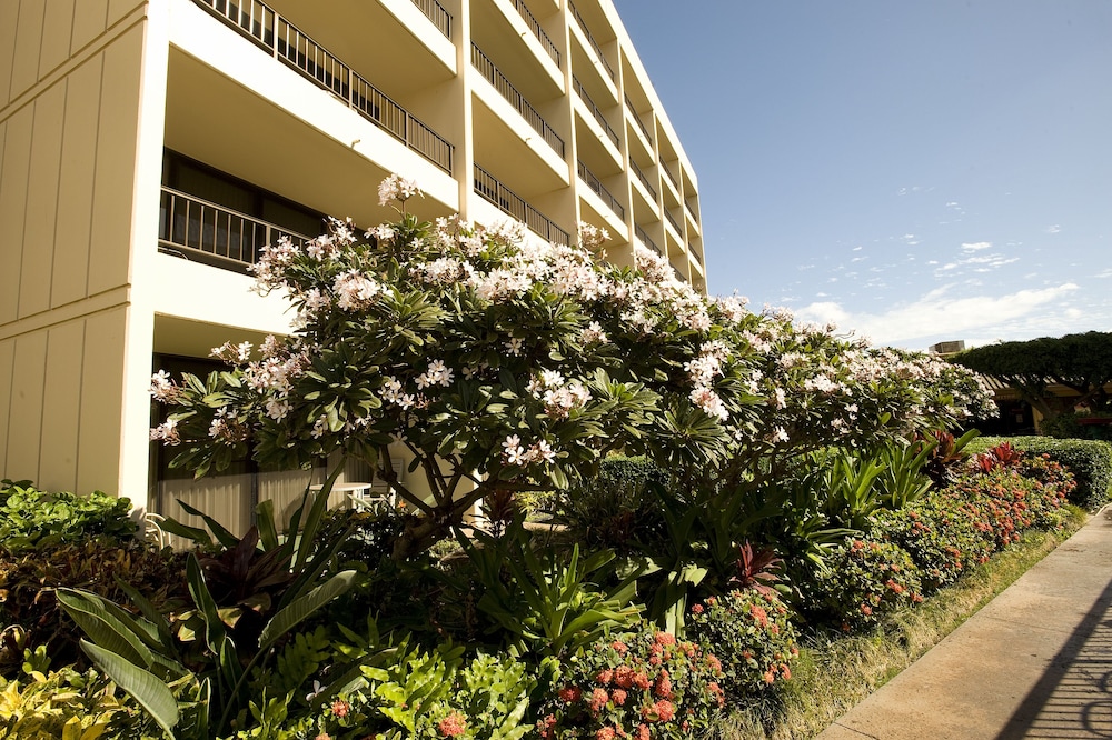 Sugar Beach Resort - photo 52