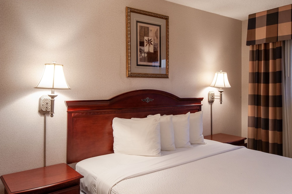 Studio City Court Yard Hotel - photo 19