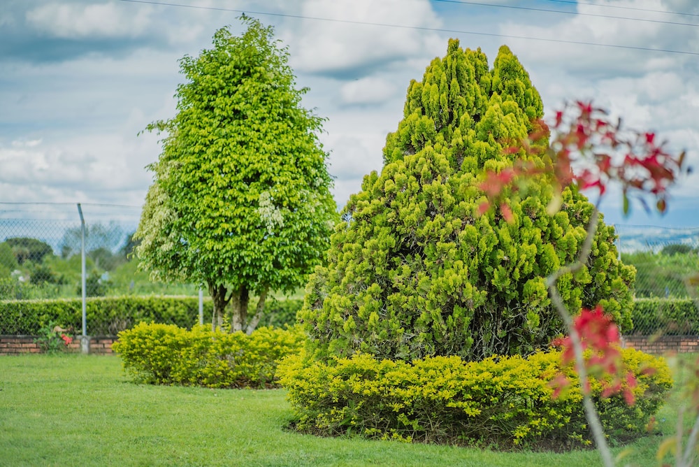 Hacienda Araucaria Habitacion 10 — Quimbaya