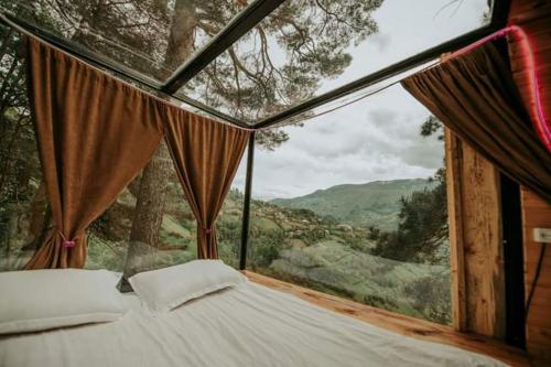 Bazaletis Akvani in Unknown City, Georgia