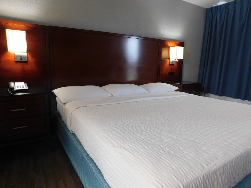 Park View Inn - photo 8