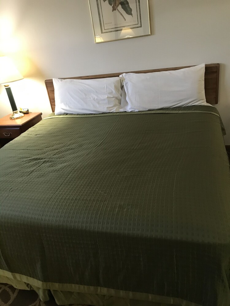Colonial Inn Dyersville - photo 12