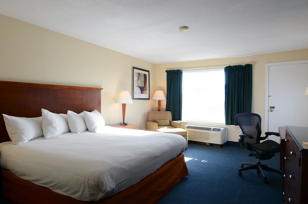 Hampton House Hotel - photo 18