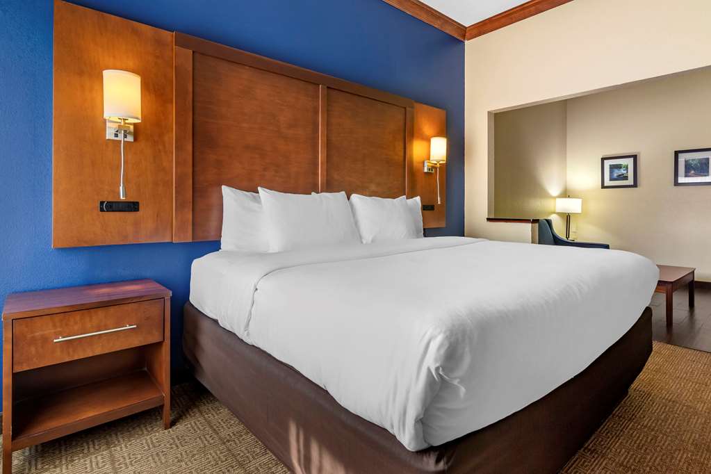 Comfort Inn & Suites Statesboro University Area - photo 18