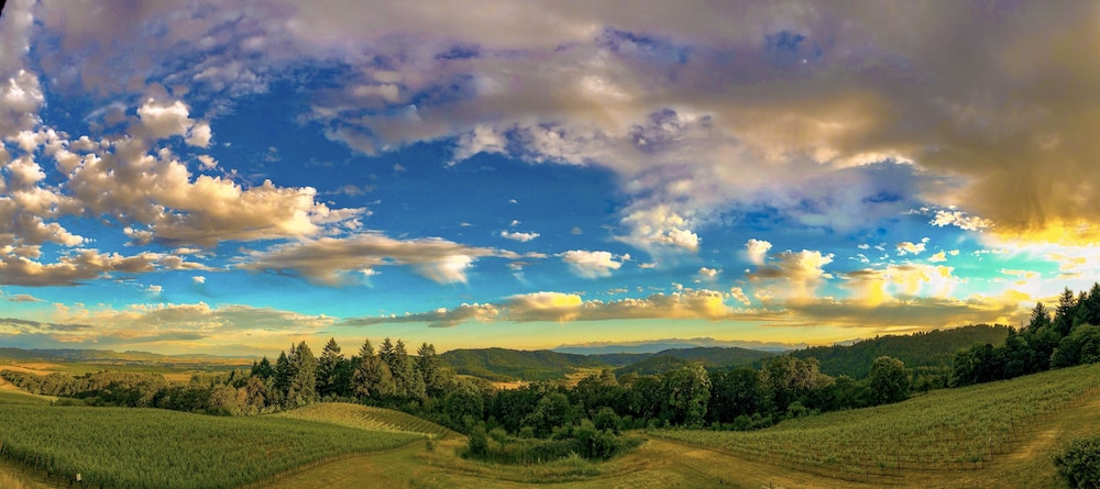 Youngberg Hill - photo 47