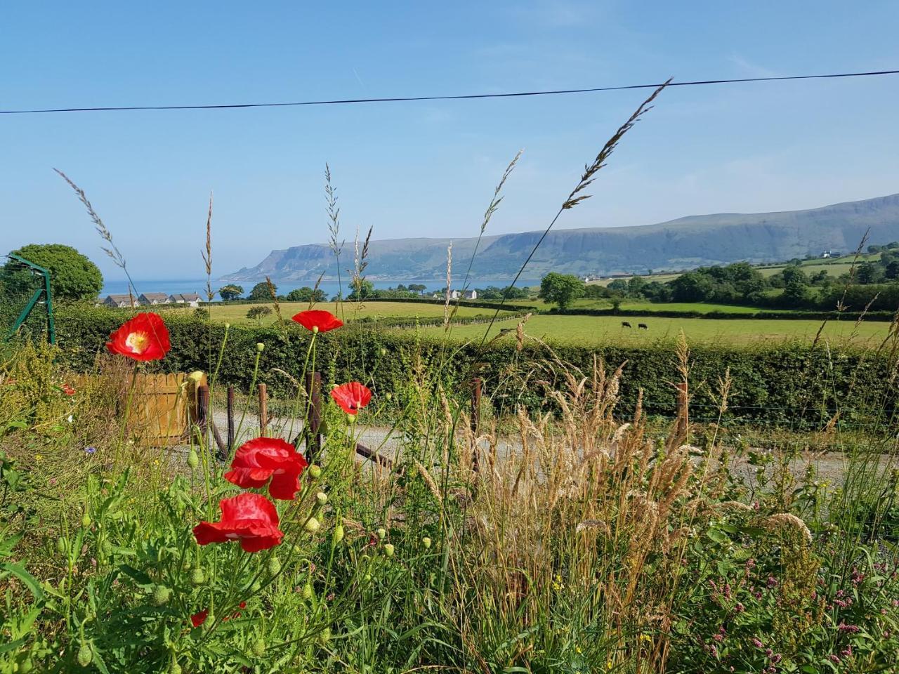 Glens Glamping — Ballymena
